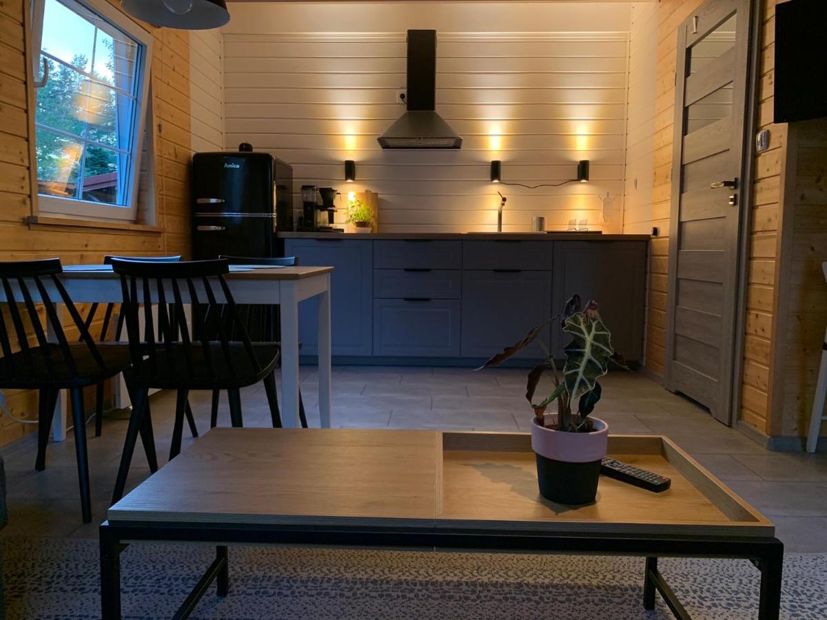 Skandynawskie Holiday home Kopalino